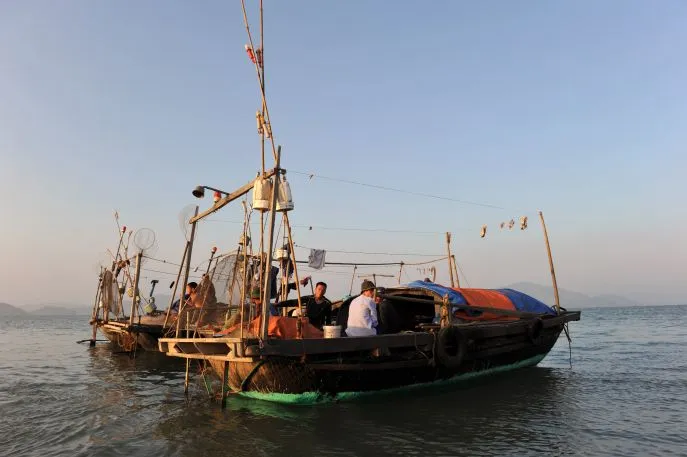 lan ha bay vietnam dimsum reizen