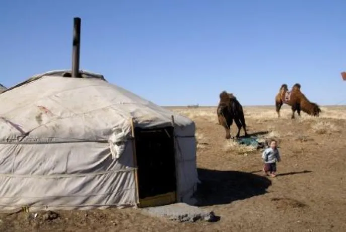 gobi woestijn mongolie ijsfestivalreis