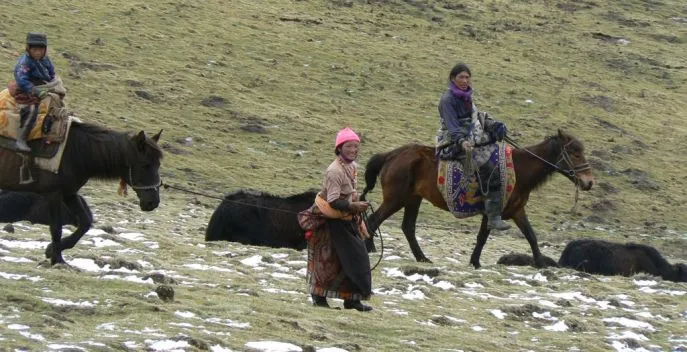 tibet amdo tussen machen en banma