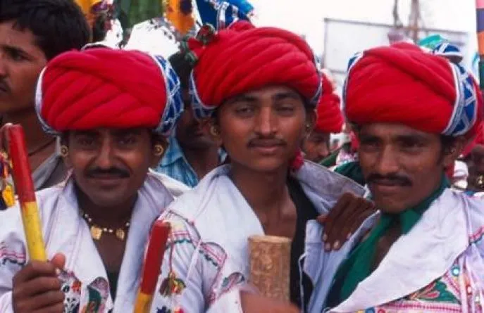 india gujarat ternatar festival reis wankaner dimsum reizen