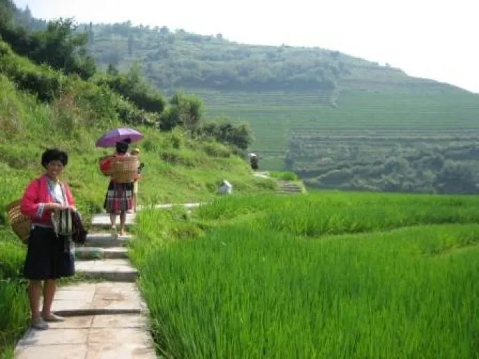 china pingan 3