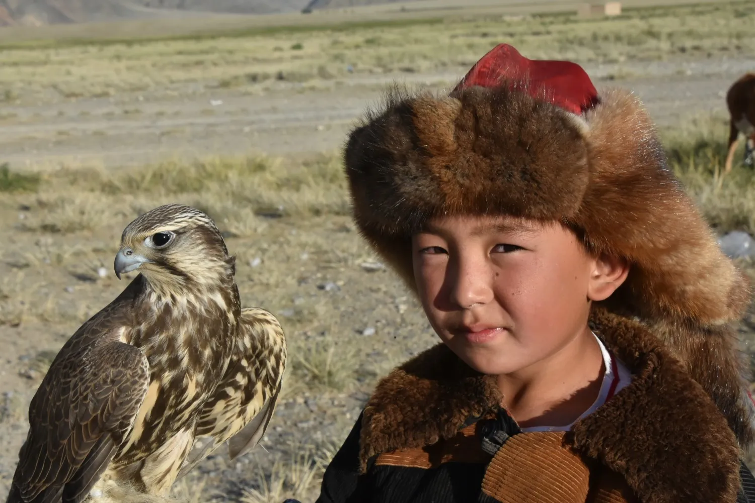 Mongolië adelaarsfamilies Altai
