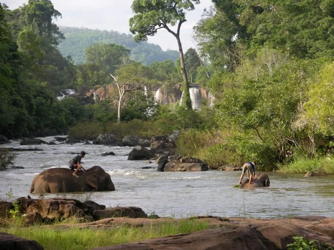 met dimsum reizne naar laos tad lo  bolevan plateau