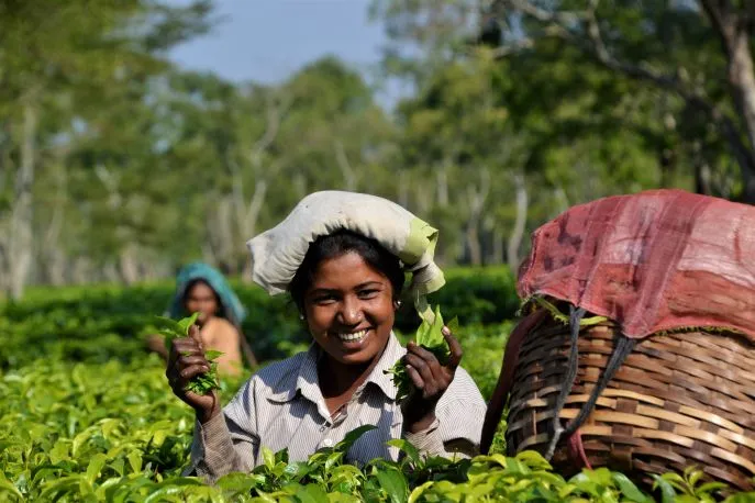 1 india assam dibrugarh