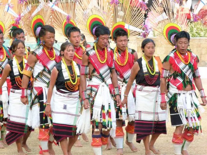 17 dimsum nagaland angami naga