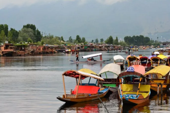 1 india dimsum kashmir srinagar