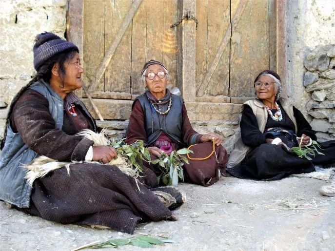 10 india dimsum zanskar spiti en ladakh