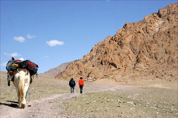 ladakh trektocht
