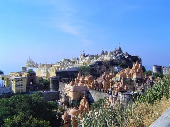 6 india dimsum gujarat palitana 2