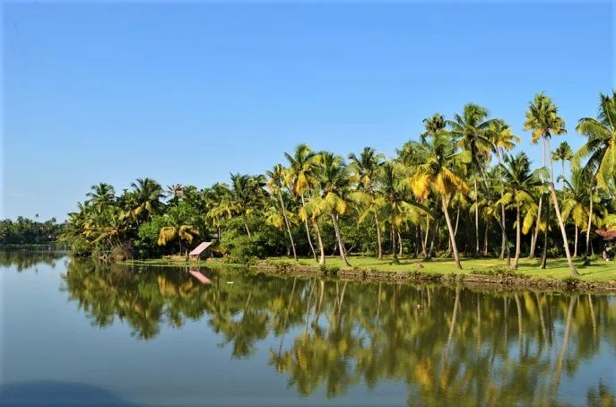 12 dimsum rondreis india zuid india kerala backwaters