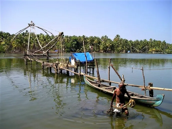 3 india dimsum kerala