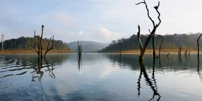 6 thekkady periyar