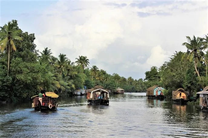 8 india dimsum kerala alleppey