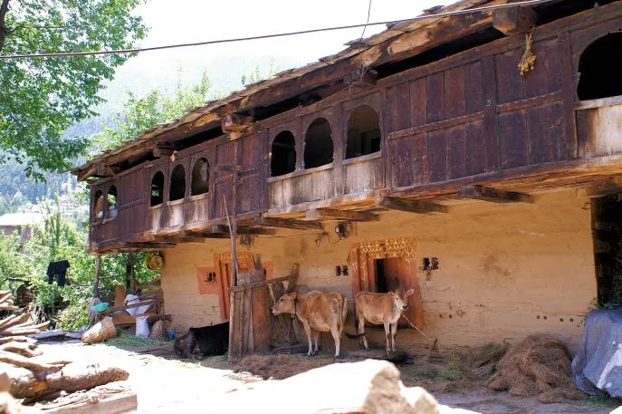 6 india dimsum manali