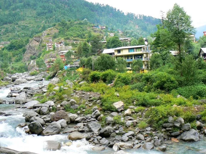 7 india dimsum manali