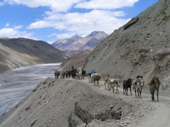 13 india dimsum spiti tso moriri