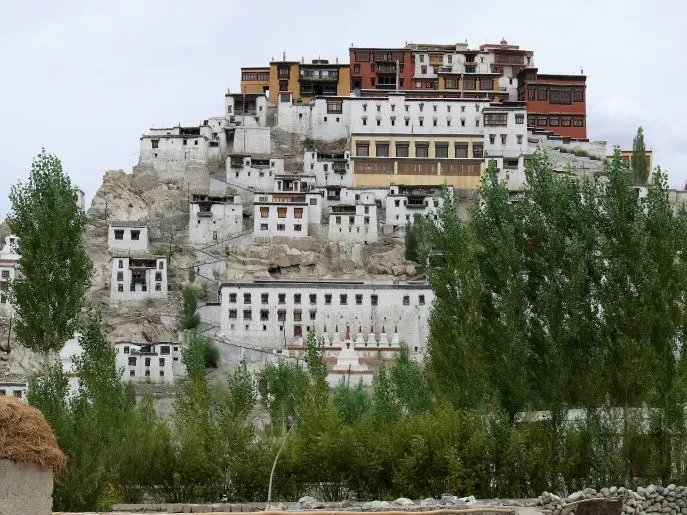 17 india dimsum ladakh leh tikse