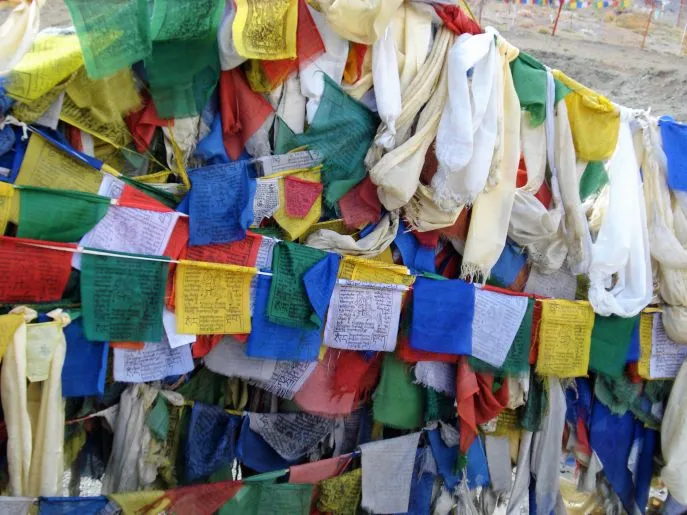 19 india dimsum ladakh leh