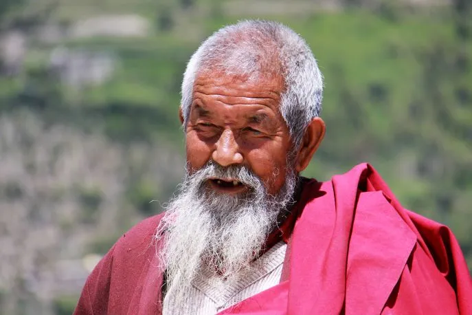 14 dimsum india ladakh keylong