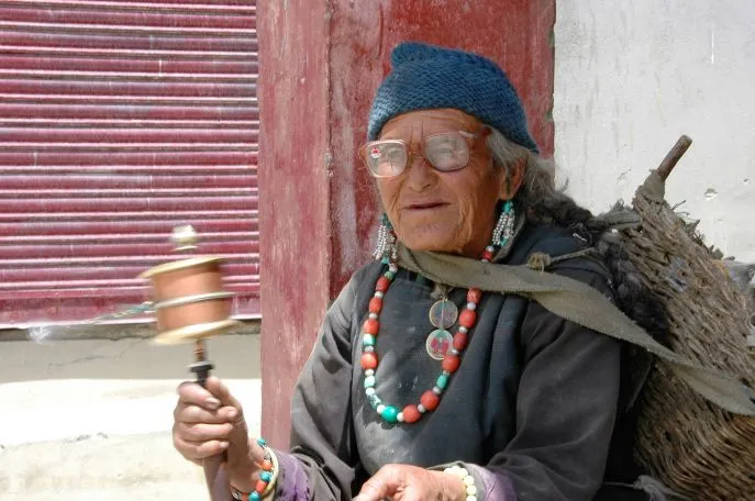 17 dimsum india ladakh leh