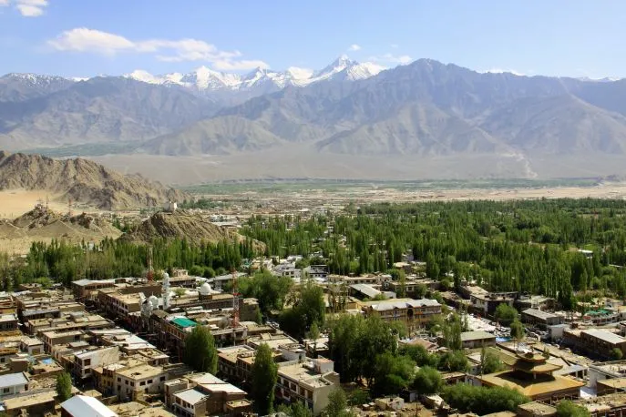18 india dimsum ladakh leh 2