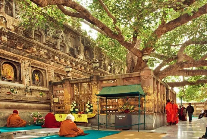 10 dimsum india voetsporen boeddha bodhgaya