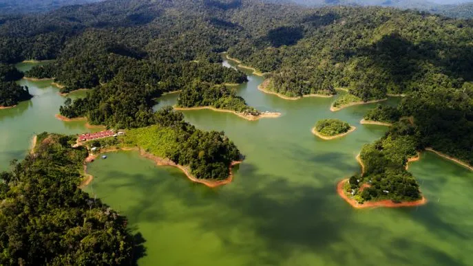 dimsum reizen belum rainforest malaysia