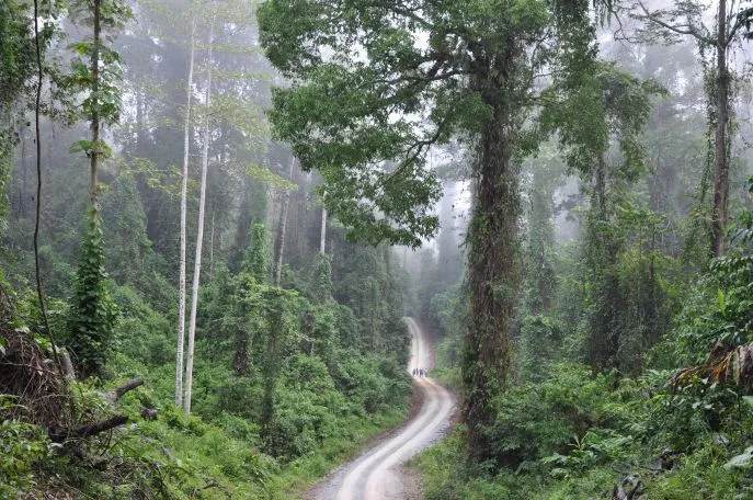 danum vallei borneo sabah