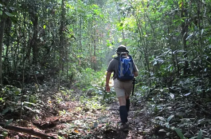 ulu muda earth lodge  trekking 2