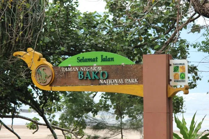 dimsum reizen sarawak bako nationaal park 2