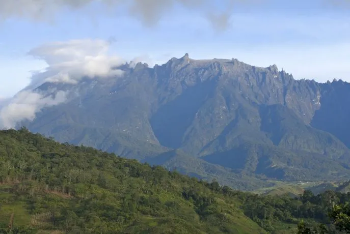 dimsum reizen naar borneo mt kinabalu 4