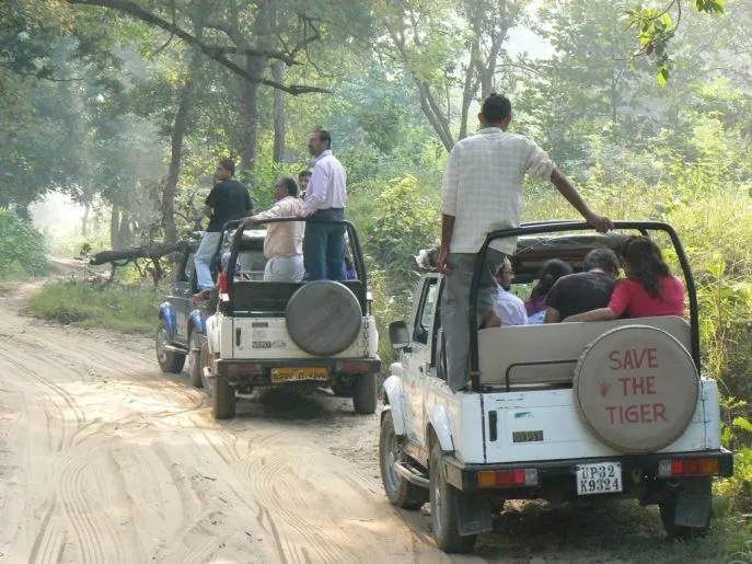 india corbett national park 2
