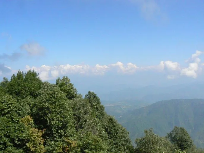 india almora dimsum reizen 2