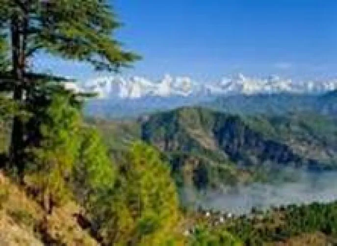natuurreis india almora dimsum reizen
