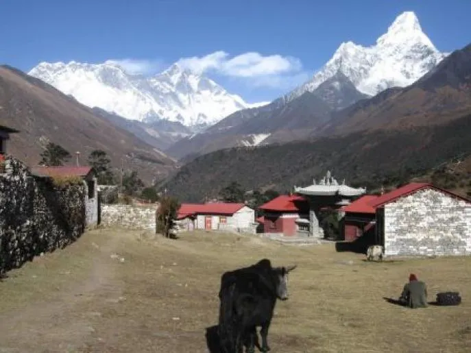 nepal tengboche