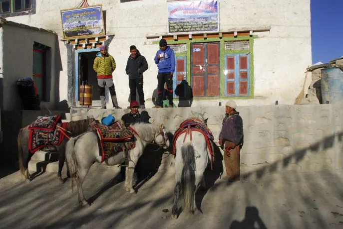 nepal  mustang 2019 7