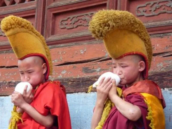 amarbayasgalant mongolie
