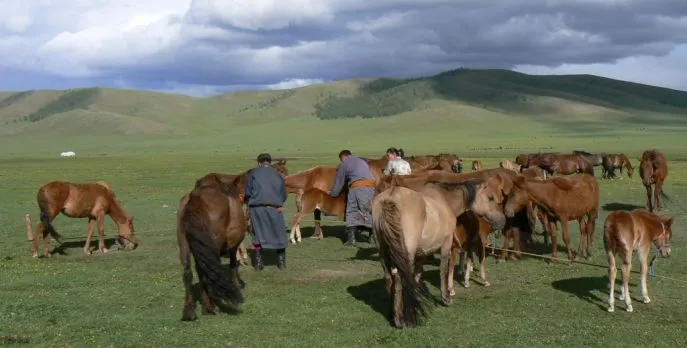 0679 mongolie tussen tsetserleg en tsenkher