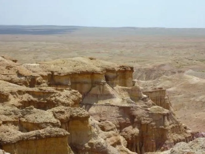 bayanzag mongolie 2