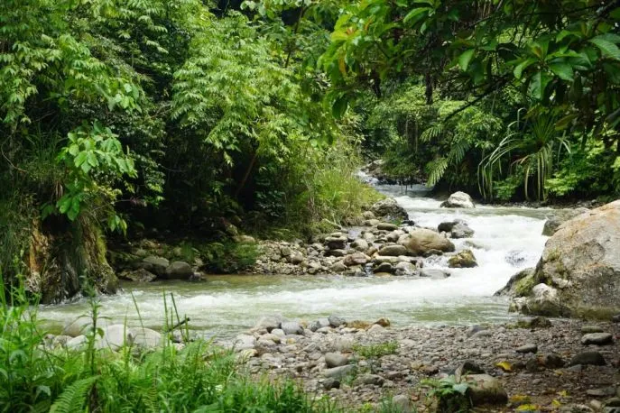 dimsum reizen sumatra trekking gunung leuser np 3