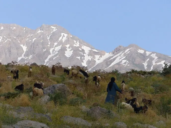 mt dena conservation area iran 2