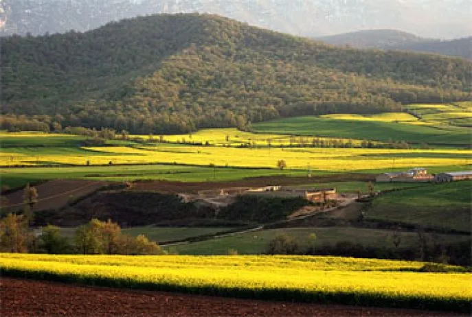 gorgan iran