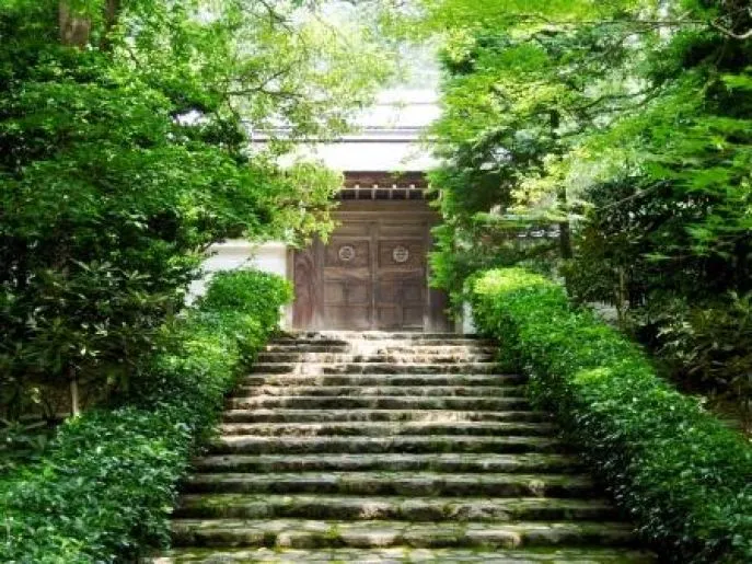 japan reis zonder haast kyoto 2 dimsum reizen