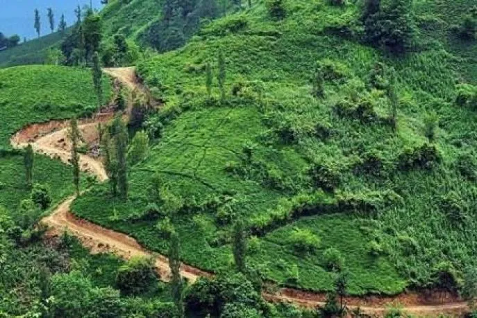lahijan 4