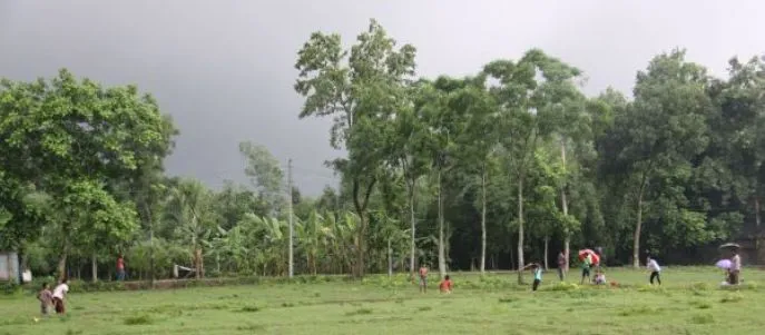 04 tangail 3