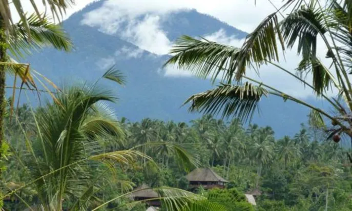bali eco stay kanciana