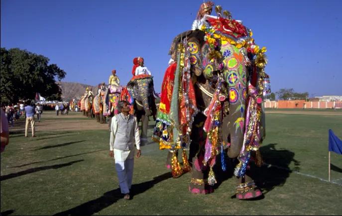 elephant festival jaipur