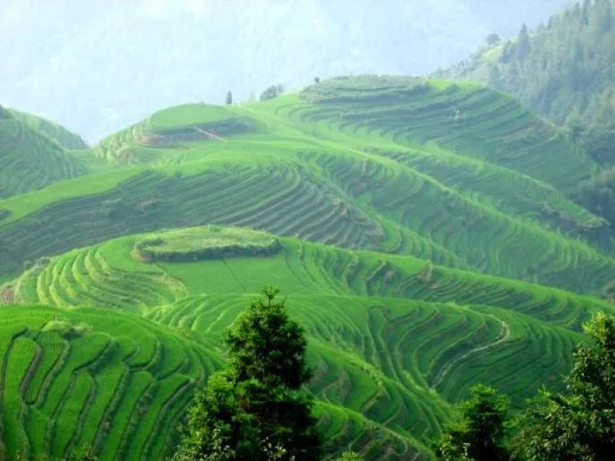china pingan rijstterrassen-Dazhai-regenseizoen-yangshuo