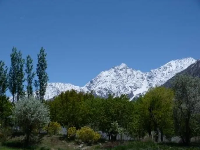 mastuj pakistan