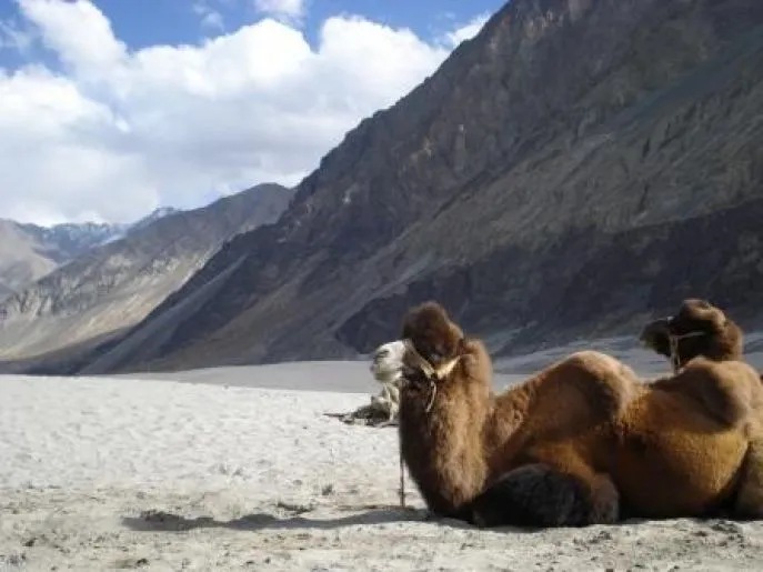 nubra india